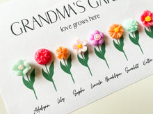 Load image into Gallery viewer, Grandma&#39;s Garden Mini Magnet Set